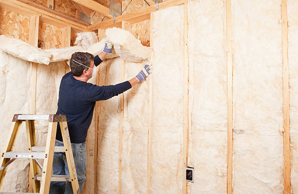 Best Reflective Insulation  in Sheboygan Falls, WI